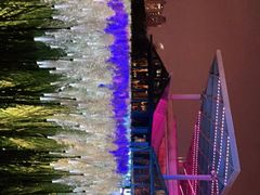 -RIVIERA 松鹤楼(外滩店)