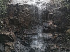 -九龙江国家森林公园