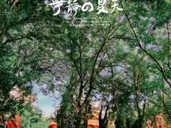 -曼听御花园