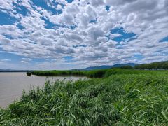 -野鸭湖国家湿地公园
