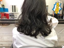 点击看大图 -SALON V
