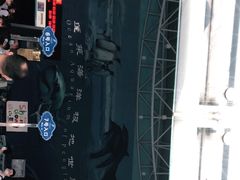 -蓬莱欧乐堡海洋极地世界