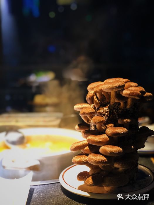 先机®·泉水鸡汤(七星岗店)有机活体菇图片