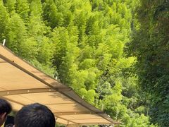 -将军关探险漂流