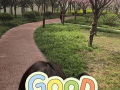 -木塔寺遗址生态公园