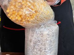 -巴倒烫陆派火锅山庄(南山总店)