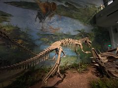 -自贡恐龙博物馆