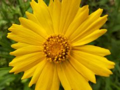 -白塘生态植物园