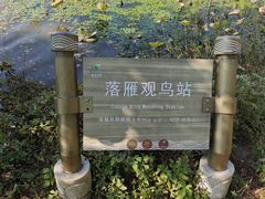 -东湖落雁景区