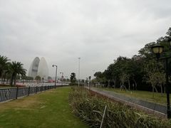 -野狸岛
