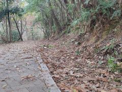 -青龙山国家森林公园