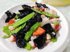 -兴芮温泉度假区