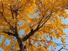 -华东政法大学(松江校区)