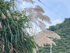 -新安江山水画廊风景区
