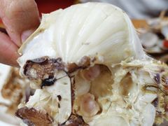 -桔子海鲜烧烤大排档(台东店)