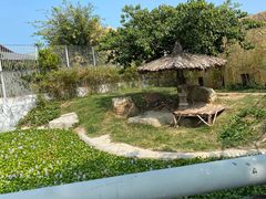 -芽庄珍珠岛游乐园