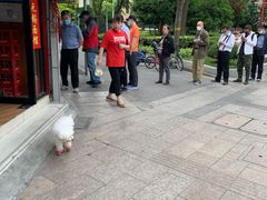 -老上海大包(四川北路店)