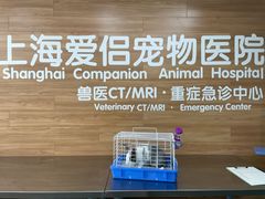 -爱侣宠医·鹦鹉专科·小型哺乳类·异宠专科(灵石路店)