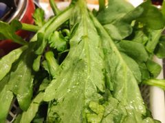 茼蒿-湘肠香火锅店(团结湖店)