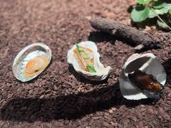 -曲廊院(东四十一条店)