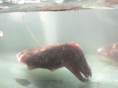 -蓝湾碧波·老字号·疍家非遗海上餐厅