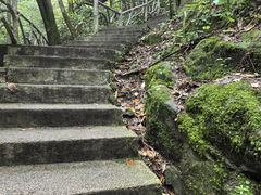-藏龙百瀑风景区