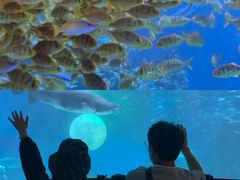 -海合安成都极地海洋公园