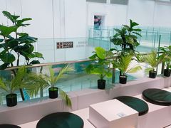 -叶子与茶(苏宁广场店)