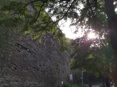 -紫金山天文台