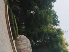 -杨柳青庄园