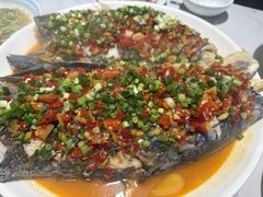 -全乐鱼馆·淳牌有机鱼直营店