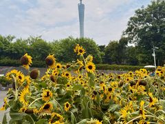 -广东省博物馆