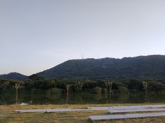 -艾米稻香小镇