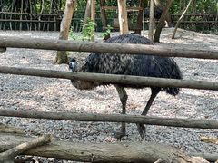 -常州淹城野生动物世界