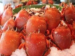 -君悦酒店·乐厨·高空自助餐(青年大街店)