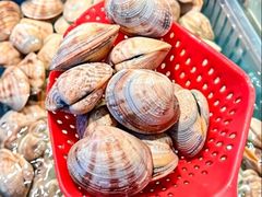 -渔舶汇蒸汽活海鲜·榴莲自助(领展中心城店)