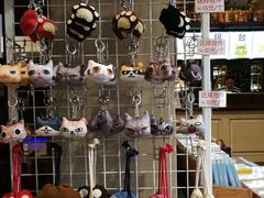 -猫咪博物馆(顶澳仔猫街店)