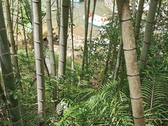 -千泷沟大瀑布旅游区