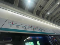 -望京西(地铁站)