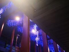 -滇越乘象云南餐厅(豆各庄店)