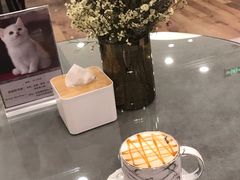 -袖虎·猫馆(体育西路店)