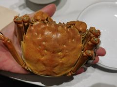 -翟辉冬瓜盅火锅(南村万博店)
