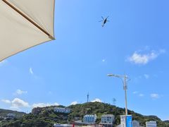 -魚當家