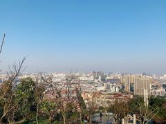 -峙山公园