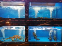 -书湘门地·中国十佳湘菜(西苑店)