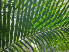 -北京植物园-展览温室