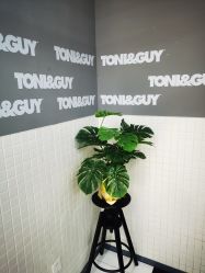 -TONI&GUY