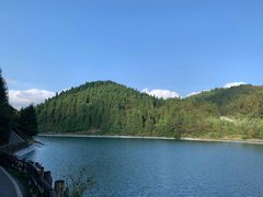 -武陵山森林公园
