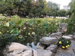 -莲湖公园