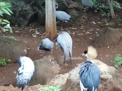 -昆明动物园